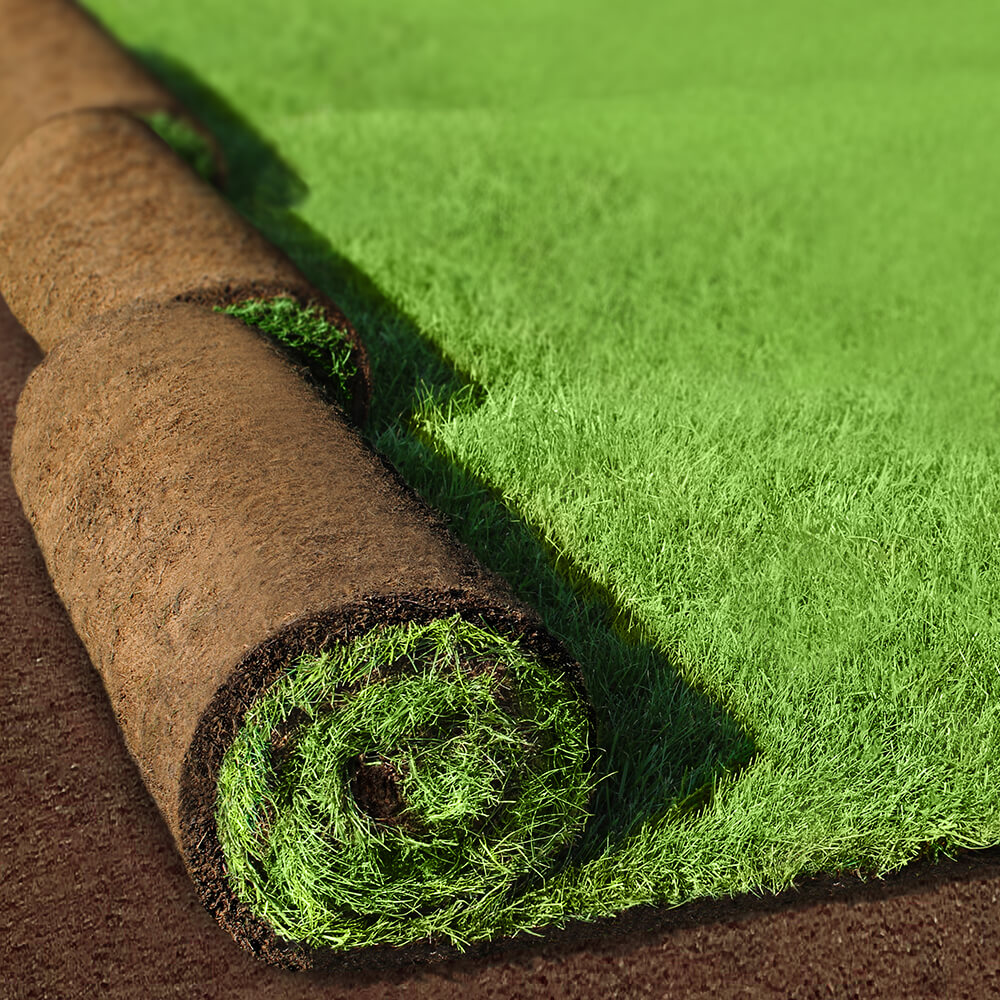 Professional Turf Installation